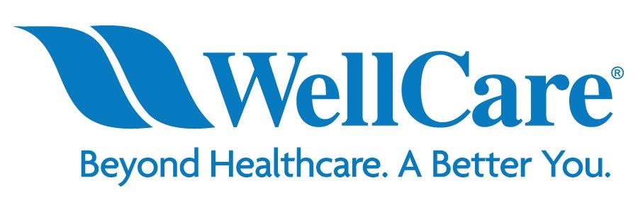 wellcare logo blue text